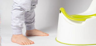 Screenshot 2024-12-17 092511